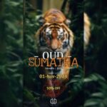 Oud Sumatra-Oud Oil India